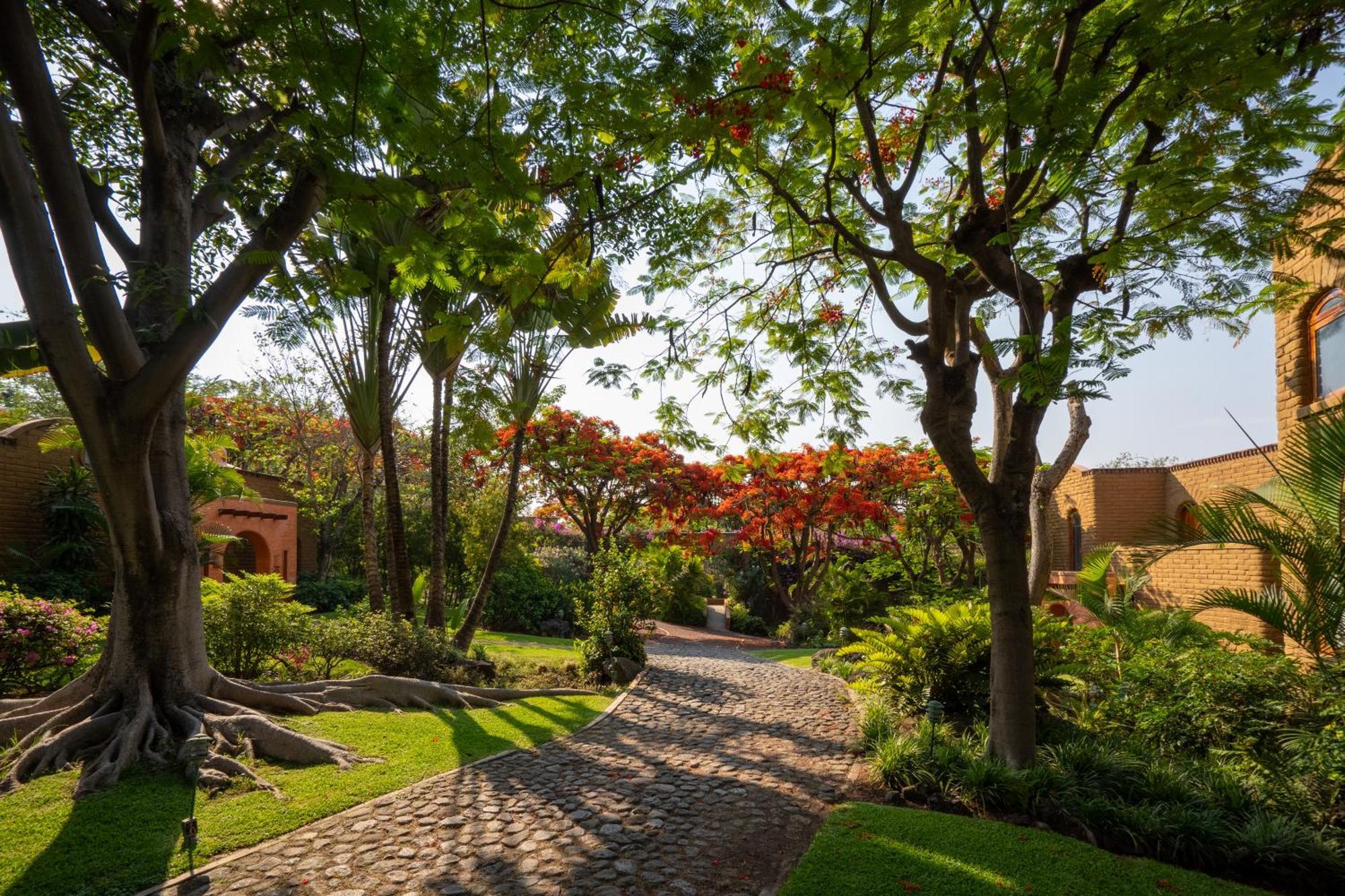 Mision Del Sol Resort & Spa Adults Only Cuernavaca Dış mekan fotoğraf